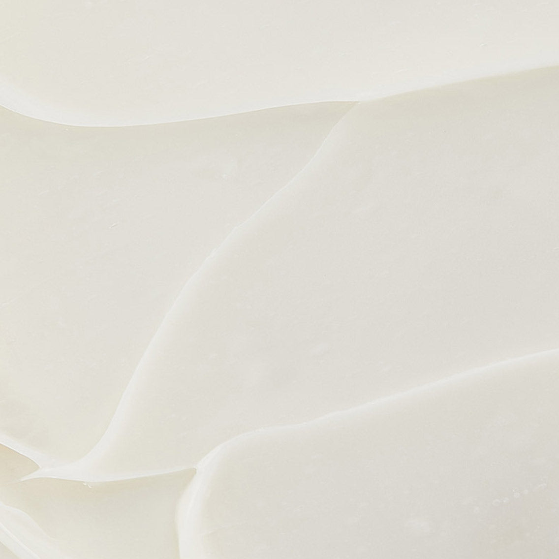 Longevity Cream | Perls des Mers - Image 3